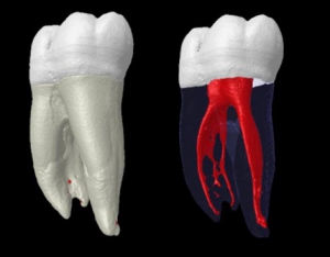 endo17 Medi+ Praxisklinik in Mainz Zahnärzte, Implantologen, u.v.m.